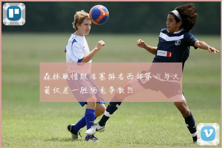 森林狼惜败活塞排名西部第六与火箭仅差一胜场竞争激烈